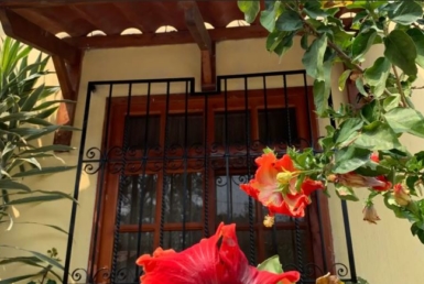 House for rent Panajachel window-view